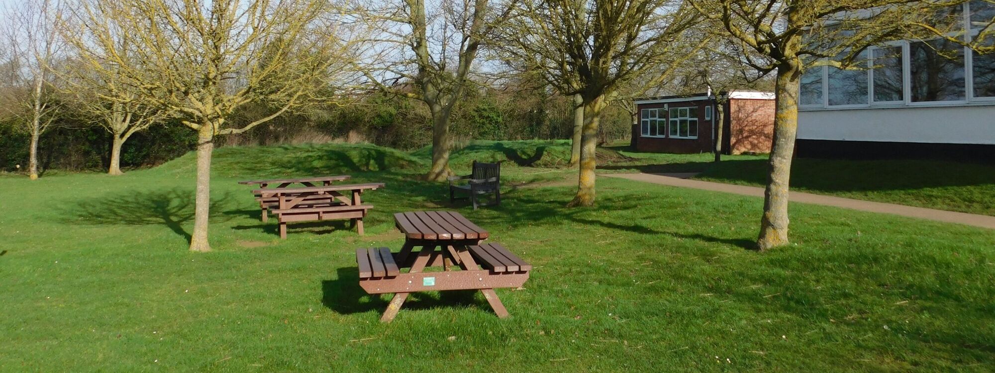 This is an image of the school grounds